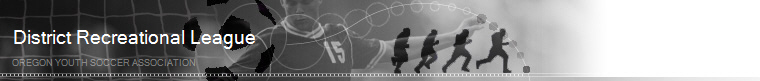 Oregon Youth Soccer Association banner